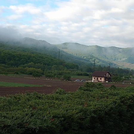 Vila Gosen Sard Екстер'єр фото